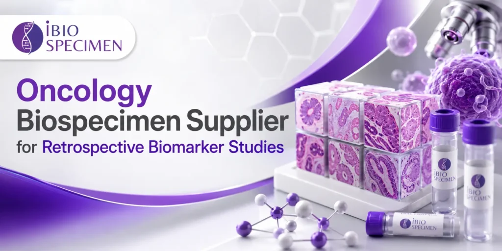 Biomarker studies have become a cornerstone of modern oncology research, enabling scientists and clinicians to identify molecular indicators associated with disease progression, treatment response, prognosis, and therapeutic resistance. The success of these studies depends heavily on access to high-quality oncology biospecimens that are accurately characterized and linked to relevant clinical data. As a result, the role of an oncology biospecimen supplier for retrospective and prospective biomarker studies has become increasingly important in advancing cancer research and precision medicine.
Retrospective biomarker studies utilize archived biospecimens collected from patients in the past, often with associated clinical outcomes already available. Prospective biomarker studies, on the other hand, involve the collection of biospecimens from patients going forward, according to predefined study protocols. Both approaches provide valuable insights into cancer biology and therapeutic response, but they require reliable access to well-preserved, ethically sourced, and clinically annotated biospecimens.
This article explores the critical role of oncology biospecimen suppliers in supporting retrospective and prospective biomarker studies, with a focus on cancer biomarker research, clinical validation, translational research, precision oncology, molecular biomarker studies, tumor profiling, targeted therapy research, and immunotherapy research.
Oncology Biospecimen Supplier for Retrospective Biomarker Studies
Oncology biospecimen supplier for retrospective biomarker studies provides researchers with access to archived cancer specimens collected during previous clinical procedures or research studies. These archived samples are often accompanied by extensive clinical data, including diagnosis, treatment history, disease progression, and patient outcomes.
Retrospective biomarker studies are particularly valuable because they allow researchers to analyze large patient cohorts and identify associations between biomarkers and clinical outcomes. For example, investigators can examine archived tumor tissue to determine whether specific genetic mutations or protein expression patterns are associated with treatment response or survival.
An experienced oncology biospecimen supplier ensures that retrospective samples are properly preserved and documented, maintaining their suitability for molecular analyses such as next-generation sequencing, immunohistochemistry, and proteomics. Access to these well-characterized specimens enables researchers to validate biomarkers and generate hypotheses for future prospective studies.
Oncology Biospecimen Supplier for Prospective Biomarker Studies
Oncology biospecimen supplier for prospective biomarker studies supports the collection and distribution of biospecimens from patients enrolled in ongoing clinical studies. Prospective studies are designed with predefined objectives, sample collection protocols, and follow-up schedules, allowing researchers to monitor biomarker changes over time.
Prospective biomarker studies are essential for evaluating the predictive value of biomarkers in real-time clinical settings. Researchers can collect biospecimens before treatment, during therapy, and after treatment completion to assess how biomarkers correlate with therapeutic response, disease progression, and resistance mechanisms.
A reliable oncology biospecimen supplier plays a critical role in ensuring that prospective samples are collected according to standardized protocols, processed promptly, and stored under appropriate conditions. This consistency enhances the quality and comparability of biospecimens, supporting robust and reproducible research findings.
Oncology Biospecimen Supplier for Retrospective and Prospective Biomarker Studies
Oncology biospecimen supplier for retrospective and prospective biomarker studies provides a comprehensive solution for researchers seeking access to both archived and newly collected cancer biospecimens. By offering a broad range of specimen types and clinical data, suppliers facilitate studies that require diverse patient populations and longitudinal analyses.
Combining retrospective and prospective approaches can strengthen biomarker research by enabling investigators to validate findings across independent cohorts and different study designs. Retrospective samples may be used for initial biomarker discovery, while prospective samples can confirm the biomarker’s predictive or prognostic value in a controlled clinical setting.
Suppliers that support both study types must maintain rigorous quality control standards, ethical sourcing practices, and detailed documentation. These measures ensure that biospecimens are suitable for advanced molecular analyses and can be reliably linked to relevant clinical information.
Oncology Biospecimen Supplier for Cancer Biomarker Research
Oncology biospecimen supplier for cancer biomarker research plays a central role in identifying molecular indicators that can improve cancer diagnosis, prognosis, and treatment selection. Cancer biomarkers may include genetic mutations, gene expression patterns, protein markers, circulating tumor DNA, and immune-related markers.
Access to high-quality oncology biospecimens allows researchers to compare molecular profiles across different cancer types, stages, and patient populations. These comparisons can reveal biomarkers associated with disease progression, treatment response, and therapeutic resistance.
Biospecimen suppliers also support the development of companion diagnostics by providing samples needed to validate biomarkers that predict response to targeted therapies. This contribution is essential for advancing precision oncology and ensuring that patients receive the most appropriate treatments.
Oncology Biospecimen Supplier for Clinical Biomarker Validation
Oncology biospecimen supplier for clinical biomarker validation provides the specimens necessary to confirm the reliability and clinical utility of potential biomarkers. Validation studies are a critical step in translating biomarker discoveries into diagnostic tests and therapeutic decision-making tools.
Clinical biomarker validation requires access to well-characterized biospecimens from independent patient cohorts. These samples must be accompanied by accurate clinical data, including treatment history and outcomes, to assess the biomarker’s predictive or prognostic value.
A trusted oncology biospecimen supplier ensures that validation specimens meet stringent quality standards and are suitable for the intended analytical methods. This reliability enhances the credibility of validation studies and supports regulatory approval of biomarker-based diagnostic tests.
Oncology Biospecimen Supplier for Translational Biomarker Research
Oncology biospecimen supplier for translational biomarker research helps bridge the gap between laboratory discoveries and clinical applications. Translational biomarker research aims to identify molecular markers that can improve patient care by guiding diagnosis, prognosis, and therapy selection.
Biospecimens provide the biological material needed to investigate the relationship between molecular alterations and clinical outcomes. Researchers can use these samples to evaluate whether a biomarker identified in preclinical studies has relevance in human cancer patients.
Suppliers that support translational biomarker research must provide access to diverse specimen collections, including tumor tissue, whole blood, plasma, serum, and other relevant sample types. The availability of comprehensive clinical annotations further enhances the translational value of these biospecimens.
Oncology Biospecimen Supplier for Precision Oncology Research
Oncology biospecimen supplier for precision oncology research contributes to the development of individualized cancer treatment strategies based on the molecular characteristics of each patient’s tumor. Precision oncology relies on identifying actionable biomarkers that can guide targeted therapy selection.
Biospecimens are essential for genomic profiling, transcriptomic analysis, proteomic studies, and other molecular investigations that reveal tumor-specific alterations. By providing access to high-quality specimens, oncology biospecimen suppliers enable researchers to identify biomarkers associated with therapeutic response and resistance.
Precision oncology research also benefits from the availability of biospecimens from rare cancer subtypes and underrepresented patient populations. Suppliers with diverse specimen repositories can support studies aimed at developing personalized treatment approaches for a wide range of cancer patients.
Oncology Biospecimen Supplier for Molecular Biomarker Studies
Oncology biospecimen supplier for molecular biomarker studies supports research focused on identifying and characterizing molecular changes associated with cancer. Molecular biomarkers may include DNA mutations, RNA expression patterns, protein levels, epigenetic modifications, and metabolic signatures.
These studies require biospecimens that preserve the integrity of nucleic acids, proteins, and other molecular components. Proper collection, processing, and storage are essential for ensuring accurate analytical results.
Oncology biospecimen suppliers provide researchers with access to specimens suitable for advanced molecular techniques such as next-generation sequencing, polymerase chain reaction, mass spectrometry, and multiplex immunoassays. These technologies enable comprehensive biomarker analysis and contribute to a deeper understanding of cancer biology.
Oncology Biospecimen Supplier for Biomarker Discovery Research
Oncology biospecimen supplier for biomarker discovery research plays a vital role in identifying novel biomarkers that can improve cancer diagnosis, prognosis, and treatment selection. Biomarker discovery studies often involve comparing molecular profiles between healthy and diseased tissues or between patient groups with different clinical outcomes.
Access to diverse and well-characterized oncology biospecimens enhances the likelihood of identifying meaningful biomarker candidates. Researchers can analyze large sample cohorts to detect molecular patterns associated with disease progression, therapeutic response, or resistance.
Suppliers that provide comprehensive clinical data alongside biospecimens enable researchers to correlate molecular findings with patient characteristics and outcomes. This integration of molecular and clinical information is essential for generating clinically relevant biomarker discoveries.
Oncology Biospecimen Supplier for Tumor Profiling Studies
Oncology biospecimen supplier for tumor profiling studies supports the comprehensive analysis of tumor characteristics at the genomic, transcriptomic, proteomic, and cellular levels. Tumor profiling studies provide detailed insights into the molecular landscape of cancer and help identify potential therapeutic targets.
Biospecimens used for tumor profiling may include primary tumor tissue, metastatic tissue, blood samples, and circulating tumor DNA. These samples allow researchers to investigate tumor heterogeneity, clonal evolution, and mechanisms of metastasis.
High-quality oncology biospecimen suppliers ensure that tumor profiling specimens are processed and stored in a manner that preserves molecular integrity. This quality assurance is critical for generating accurate and reproducible profiling data.
Oncology Biospecimen Supplier for Oncology Clinical Research
Oncology biospecimen supplier for oncology clinical research provides essential support for clinical studies investigating cancer therapies, diagnostics, and disease mechanisms. Clinical research often requires biospecimens collected from patients participating in clinical trials or observational studies.
These biospecimens can be used to evaluate pharmacodynamic biomarkers, monitor treatment response, assess safety profiles, and identify predictors of therapeutic efficacy. The availability of well-characterized specimens enhances the scientific value of clinical research studies.
Oncology biospecimen suppliers also facilitate the collection of longitudinal samples, enabling researchers to study biomarker changes over the course of treatment. This capability is particularly valuable for understanding disease progression and treatment resistance.
Oncology Biospecimen Supplier for Targeted Therapy Biomarker Studies
Oncology biospecimen supplier for targeted therapy biomarker studies supports the identification and validation of biomarkers that predict response to targeted cancer therapies. Targeted therapies are designed to interfere with specific molecular abnormalities driving tumor growth.
Researchers use oncology biospecimens to detect actionable genetic mutations, gene amplifications, protein expression patterns, and other molecular alterations associated with therapeutic response. These biomarkers help identify patients who are most likely to benefit from targeted treatments.
Suppliers that provide access to diverse cancer specimen collections enable researchers to evaluate targeted therapy biomarkers across multiple tumor types and patient populations. This broad access supports the development of more effective and personalized cancer treatments.
Oncology Biospecimen Supplier for Immunotherapy Biomarker Research
Oncology biospecimen supplier for immunotherapy biomarker research contributes to the advancement of immune-based cancer treatments by providing specimens needed to study immune responses and predictive biomarkers. Immunotherapy biomarker research often focuses on markers such as PD-L1 expression, tumor mutational burden, immune cell infiltration, and cytokine profiles.
Access to high-quality biospecimens allows researchers to investigate how the tumor microenvironment influences immunotherapy response. These studies can identify biomarkers associated with treatment efficacy, resistance, and adverse events.
Oncology biospecimen suppliers support immunotherapy research by providing tumor tissue, blood samples, and other relevant specimens collected under standardized conditions. The availability of clinically annotated samples further enhances the value of these studies.
Reliable Oncology Biospecimen Supplier for Biomarker Studies
Reliable oncology biospecimen supplier for biomarker studies is essential for ensuring the validity and reproducibility of research findings. Reliability depends on standardized collection procedures, proper sample handling, accurate documentation, and adherence to ethical and regulatory guidelines.
Researchers must be confident that the biospecimens they receive are of consistent quality and accompanied by accurate clinical information. Reliable suppliers implement rigorous quality control measures to verify sample integrity and suitability for intended research applications.
Ethical sourcing is another critical aspect of reliability. Oncology biospecimen suppliers must obtain informed consent, protect donor privacy, and comply with applicable regulations governing human subjects research. These practices ensure that biospecimens are collected and used responsibly.
High-Quality Oncology Biospecimen Supplier for Cancer Research
High-quality oncology biospecimen supplier for cancer research is characterized by meticulous attention to sample quality, processing standards, and data integrity. Cancer research requires biospecimens that are suitable for sophisticated analytical techniques and capable of generating reliable results.
High-quality suppliers maintain standardized protocols for collection, processing, storage, and transportation. They also provide comprehensive documentation, including clinical annotations, demographic data, and sample handling records.
The use of high-quality oncology biospecimens enhances the accuracy of molecular analyses, biomarker studies, and therapeutic evaluations. This, in turn, supports more efficient cancer research, reduces experimental variability, and improves the likelihood of meaningful scientific discoveries.
Challenges and Future Directions in Oncology Biospecimen Supply
Despite their critical importance, oncology biospecimen suppliers face several challenges. Variability in sample collection and processing can affect specimen quality and compromise research results. Maintaining adequate sample diversity is also essential for ensuring that biomarker findings are applicable to broad patient populations.
Regulatory compliance and ethical considerations remain central to biospecimen procurement. Suppliers must navigate complex requirements related to informed consent, privacy protection, and international sample transfer while maintaining transparency and accountability.
Future advancements are expected to improve the efficiency and value of oncology biospecimen supply. Innovations such as digital pathology, automated sample tracking, artificial intelligence-driven data analysis, and integrated multi-omics platforms will enhance the utility of biospecimens in biomarker research.
Conclusion: The Essential Role of Oncology Biospecimen Suppliers in Biomarker Studies
Oncology biospecimen supplier for retrospective and prospective biomarker studies plays an indispensable role in advancing cancer research and precision medicine. By providing access to high-quality, ethically sourced, and clinically annotated biospecimens, suppliers enable researchers to identify, validate, and apply biomarkers that improve cancer diagnosis, prognosis, and treatment selection.
From oncology biospecimen supplier for cancer biomarker research and clinical biomarker validation to precision oncology research, molecular biomarker studies, tumor profiling studies, targeted therapy biomarker studies, and immunotherapy biomarker research, oncology biospecimen suppliers support every stage of biomarker investigation.
As the demand for personalized cancer therapies and biomarker-driven clinical decision-making continues to grow, reliable oncology biospecimen supplier for biomarker studies and high-quality oncology biospecimen supplier for cancer research will remain essential partners in the pursuit of innovative cancer treatments and improved patient outcomes.