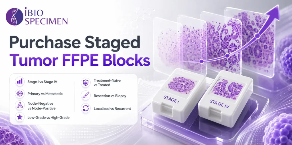 Purchase Staged Tumor FFPE Blocks