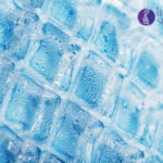 Fresh Frozen Tissue