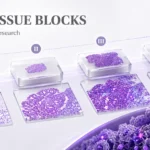 FFPE tissue blocks