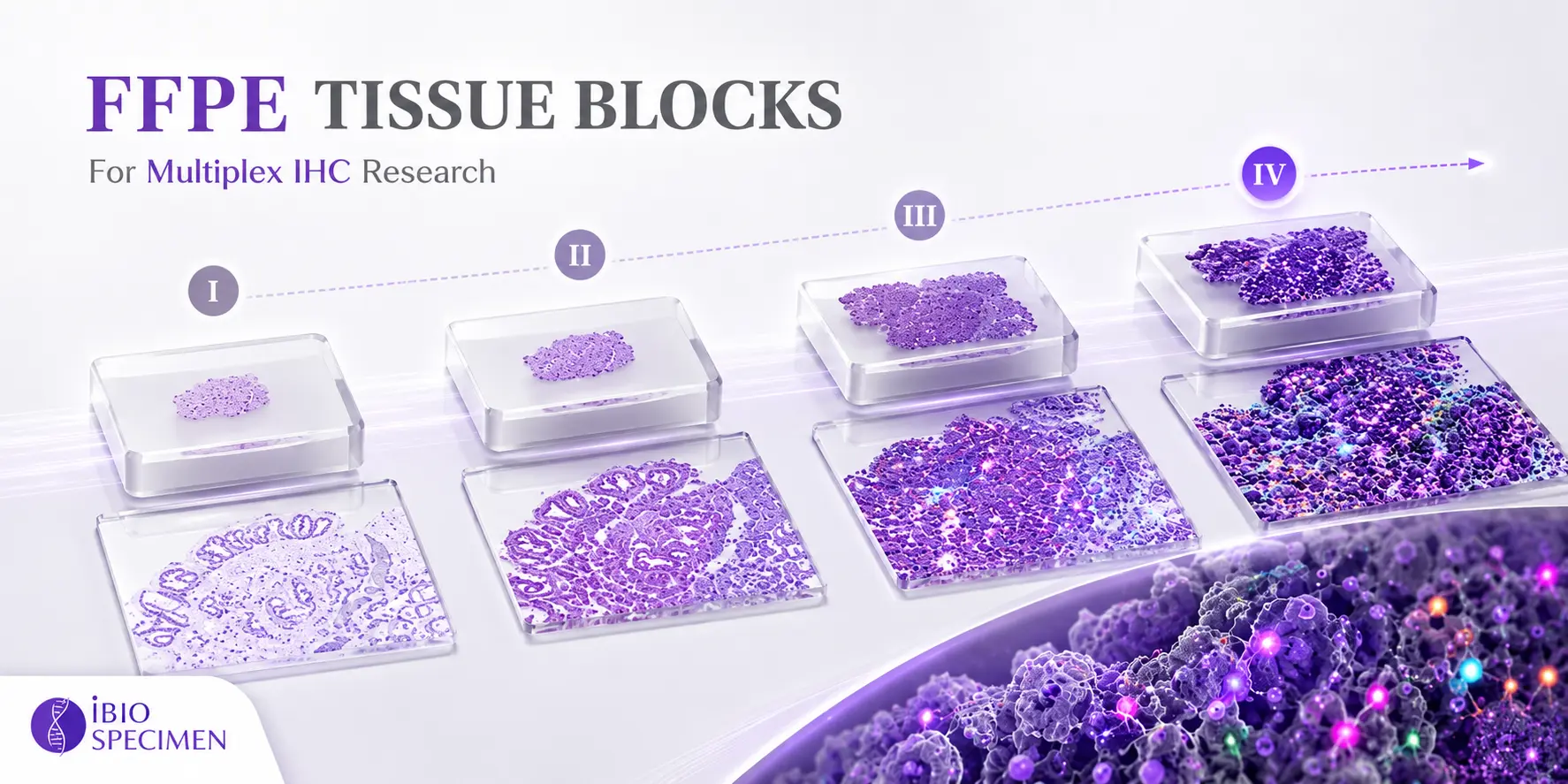 FFPE tissue blocks